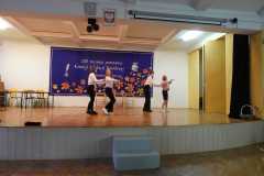 DSC00809-Copy