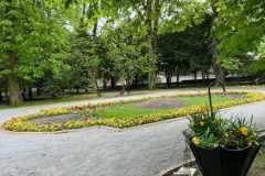 IMG_7335-Copy