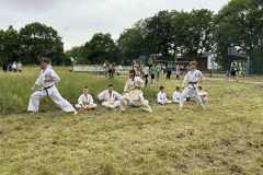 IMG_0766-Copy