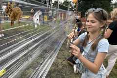 IMG_0782-Copy