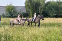 IMG_0852-Copy