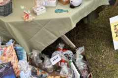 IMG_3717-Copy