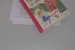 487817530_664891786229247_781774718967232080_n