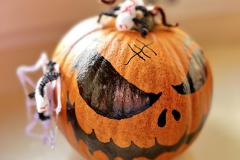 IMG_4817-Copy
