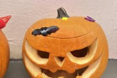 IMG_4843-Copy