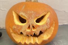 IMG_4846-Copy