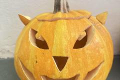 IMG_4850-Copy