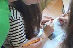 20230605_110329-Copy