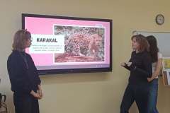 Messenger_creation_73E9AD12-0530-4E21-86D0-B4EBDA0E3BD6