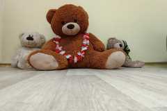 Messenger_creation_0A3C6366-8DBB-4DB7-B351-15A978217354