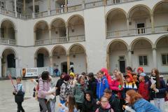 IMG_20230518_160836-Copy