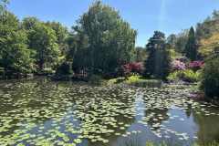 IMG_0241-Copy