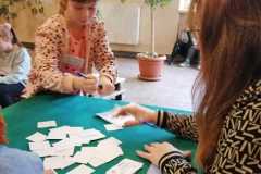 IMG_20231117_114515-Copy