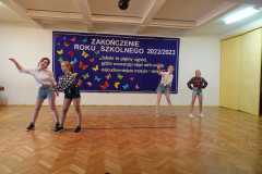 DSC00704-Copy